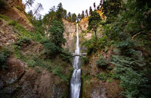 Private Daylight Basement - Near Downtown & Lake - Foto 28