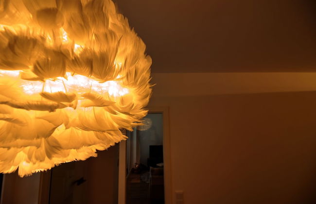 Plenus Riverloft - Photo 10