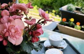 Pineta Apartment with Exclusive Pool - Foto 24