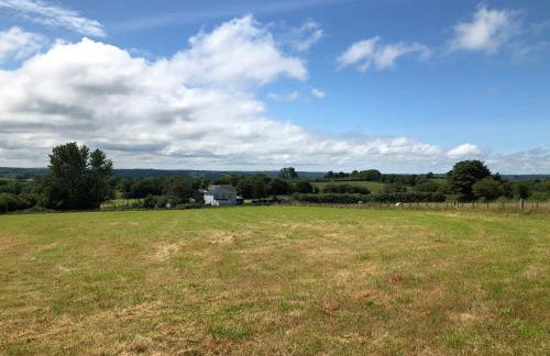 Swallows Return - Foto 21