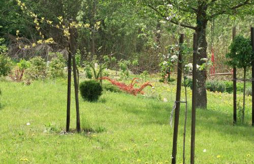 Jeziorosfera. Stodoła przy wodzie. - Foto 31