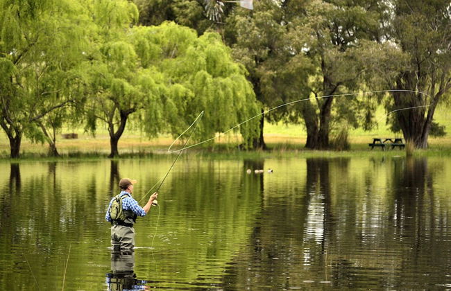 Diamond Forest Farm Stay - Foto 16