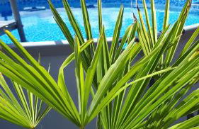 Ferienwohnung Liebelt in Mitgenfeld , bayerische Rhön - Foto 42