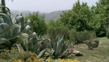 Agriturismo Bellavista - Foto 2