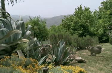 Agriturismo Bellavista - Foto 2