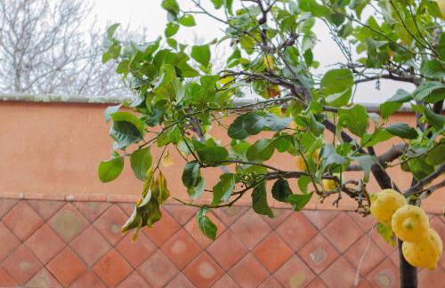 La Dimora degli ulivi - Foto 24