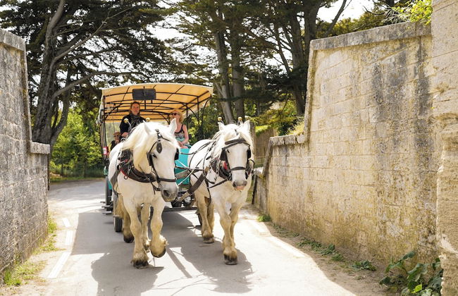 VVF Île de Ré Sainte-Marie-de-Ré - Foto 35