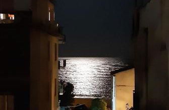 White Cliff - Photo 8