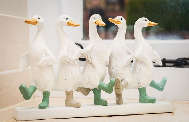 Stoney Moat - Foto 30