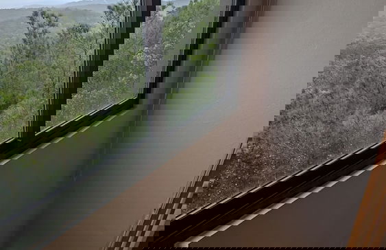 The Grand Forest Jarabacoa - Photo 29