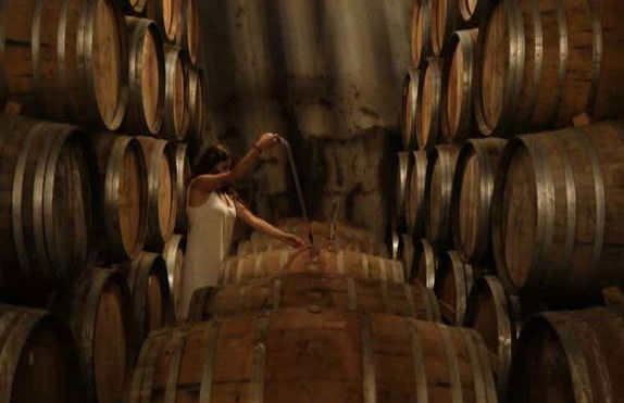 Visita à adega Quinta do Tedo - Foto 7