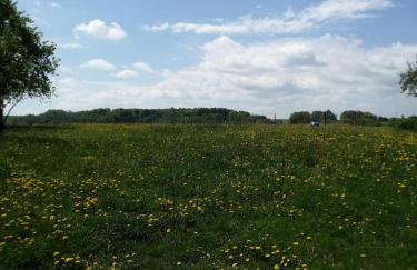 Nad Wilczym Potokiem - Foto 19