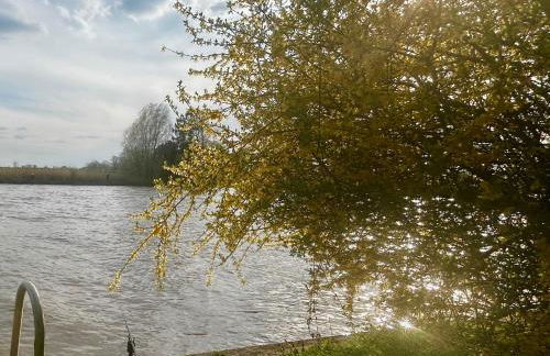 Ferienwohnung Ostegarten - Foto 20