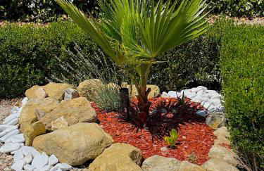 L'Olivier d'Alana - entre Cévennes et Méditerranée - Foto 75