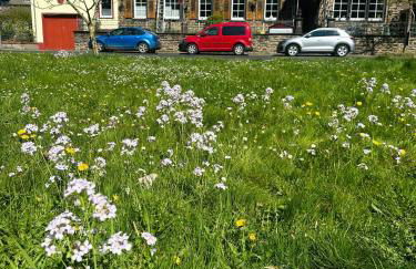 Ferienhaus Löwenherz - Foto 1