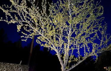 Cantinho do Vale - Oleiros - Photo 30