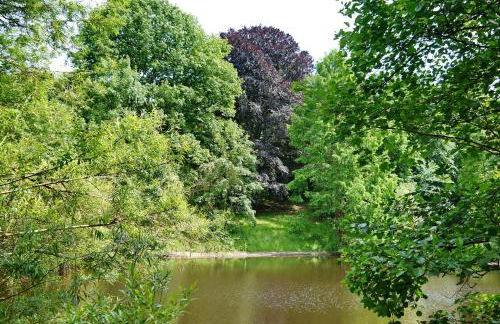 Hennen-Nest - Foto 28