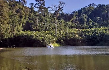 Vila Paraíso - Blumenau - SC - Photo 51