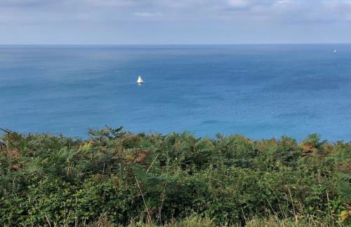Romantic cliff top chalet at Whitsand Bay beach - Photo 44