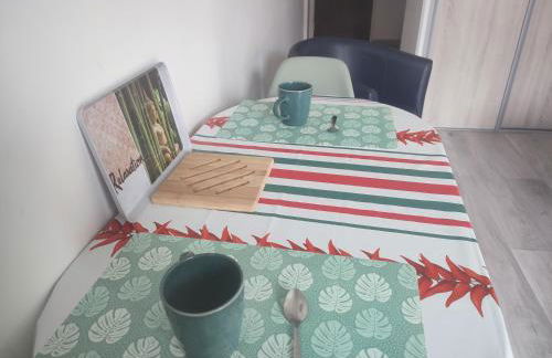 studio cosy la Dacquoise centre-ville internet haut-débit - Foto 12