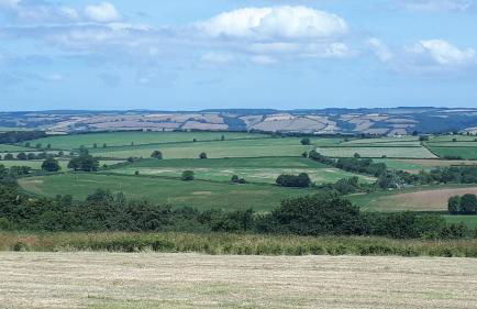 Orchard Lodge - Photo 25