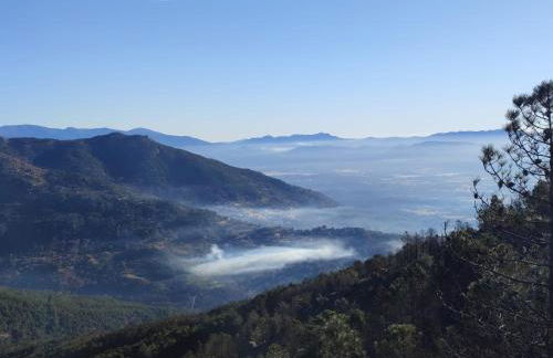 El portal de Beni - Foto 26