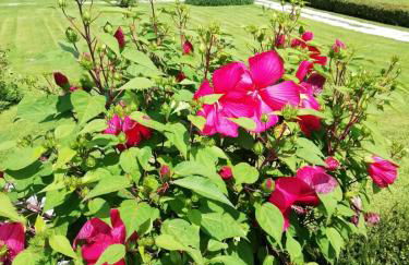 Fienile Chiaramada - Foto 18