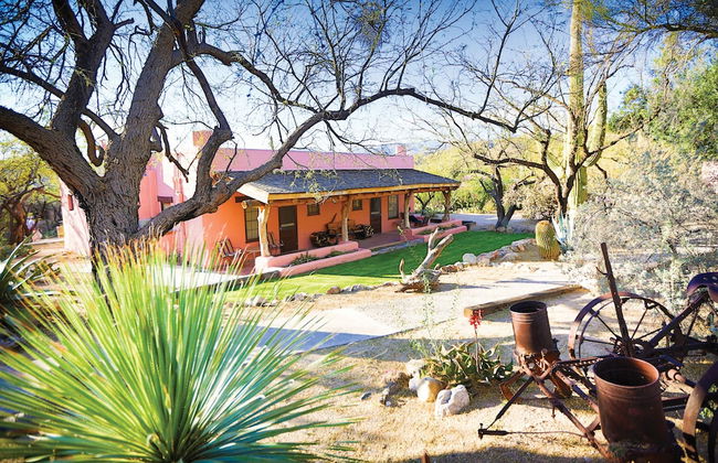 Tanque Verde Ranch - Photo 14