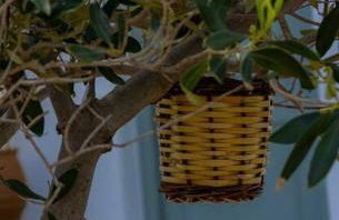 Martha's filoxenia - Photo 30