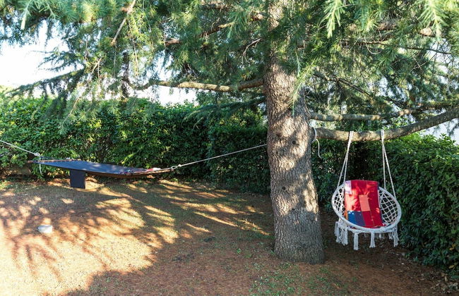 Pool Villa in Sibenik Near Lake - Photo 37