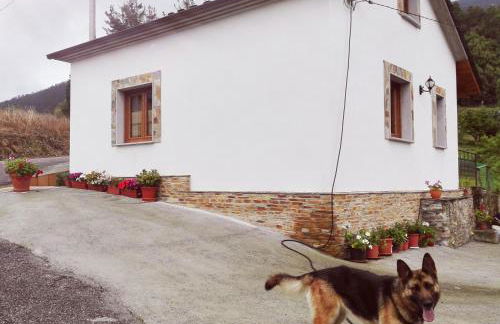 Casa de aldea Amezaga - Foto 11