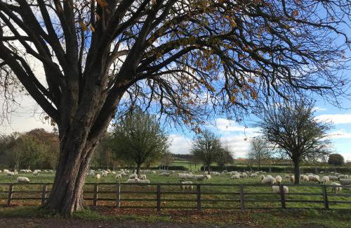 Four Seasons Cottage - in the Cotswolds - Foto 23