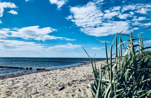 modernes Ferienhaus mit eigener Terrasse und kleinem Garten - Ferienhaus Liva - Photo 28
