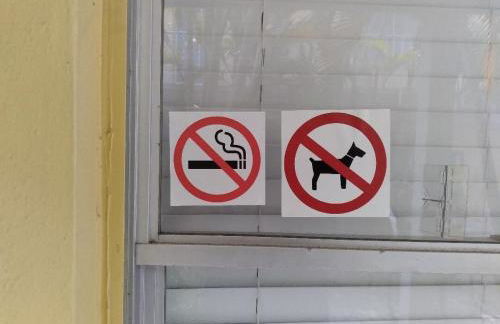 Madeira Bonita - Photo 6