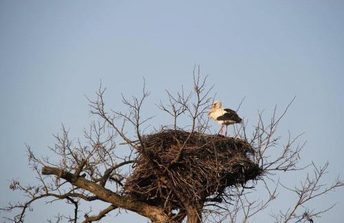 Domek Drewniany - Foto 55