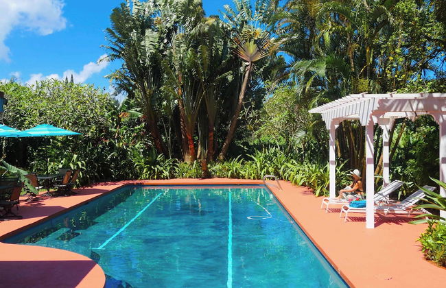 Hale Akua Garden Farm & Eco-Retreat - Foto 75