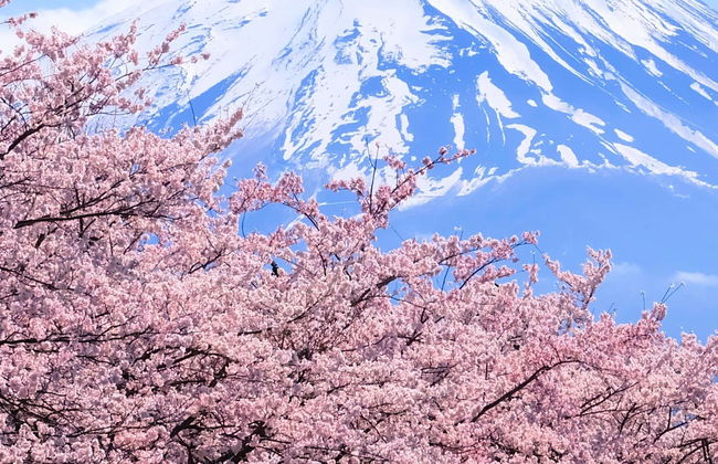 Mount Fuji & Lake Ashi Day Trip - Foto 1