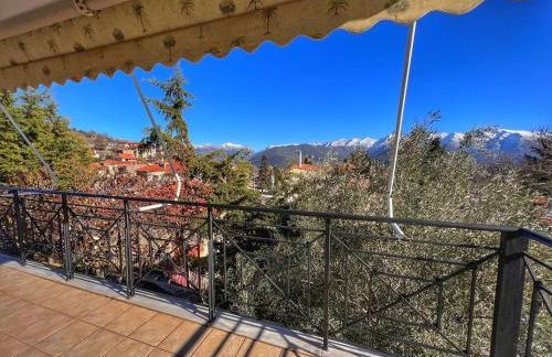 "Epidavros" Apartment of Levidi Arcadian Apartments - Foto 23