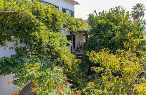 Casa Dona Aninhas - Douro - Foto 9