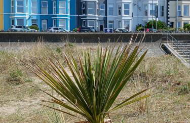 Seasalt Apartment - Foto 12