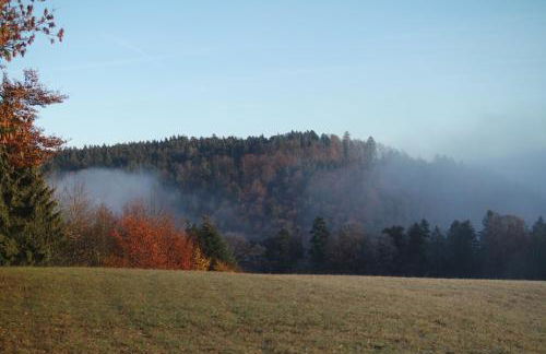 Alb Chalet - Foto 26