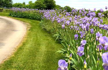 Gîtes Château de la Selve - Foto 20