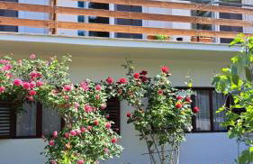 Apartments Gardelin Paklenica - Photo 72