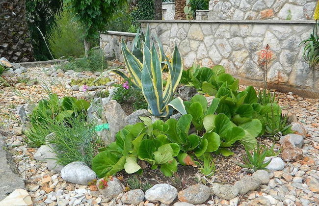 Apartments and Rooms Darinka - Foto 37