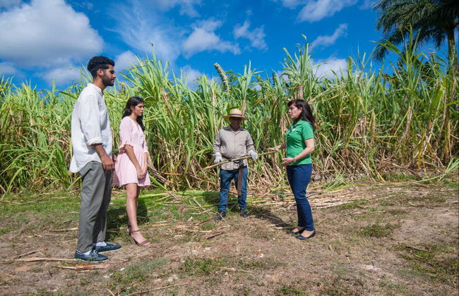 Tour del tabaco, el ron y el azúcar - Foto 2