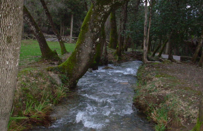 Casa Rural La Tiná - Foto 11