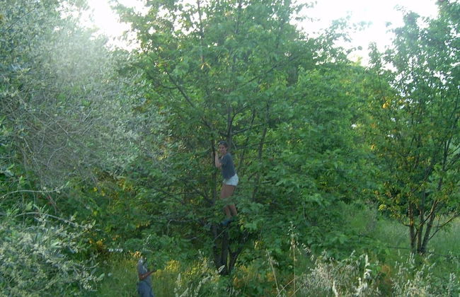 Agriturismo le Cammarose - Photo 25