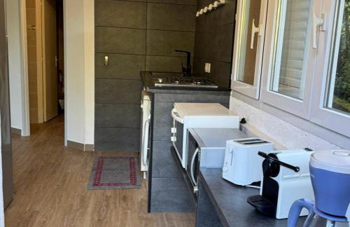 Domaine Mare e Monti - T1 Le Maquis - Foto 7