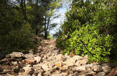 La Petite Escale - Foto 29