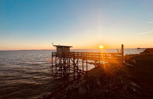 Domaine construction bois sur pilotis dans une chênaie proche océan - Foto 15